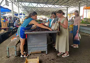 Так и без вишневого варенья можно остаться! Изучили цены на ягоду на могилевских рынках