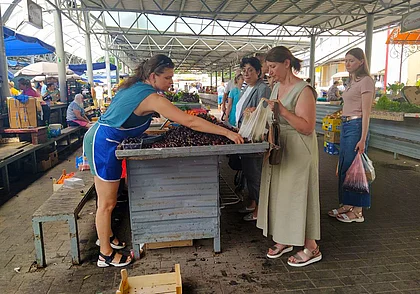 Так и без вишневого варенья можно остаться! Изучили цены на ягоду на могилевских рынках