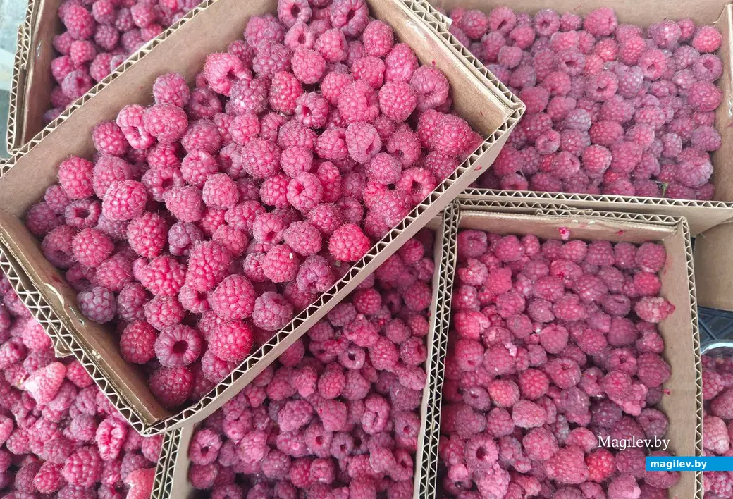 12 июля 2024 года. Могилев. Минский (Центральный) рынок. Такой короб малины стоит 15 рублей.