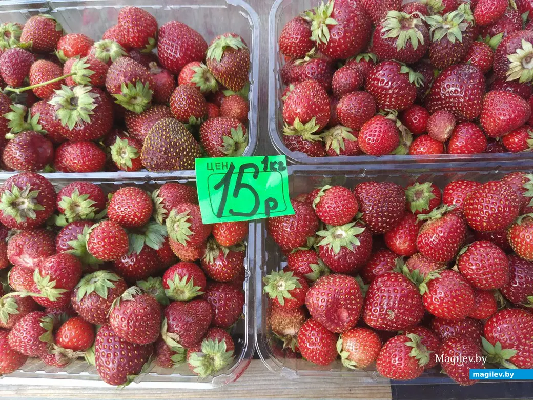 12 июля 2024 года. Могилев. Минский (Центральный) рынок.