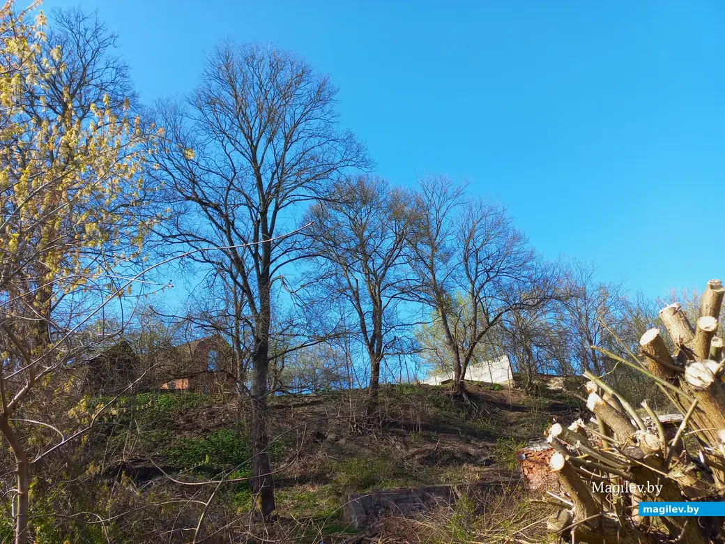 Май 2024 года. На Дубровенке хорошая погода!