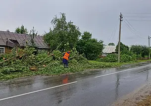 Непогода в Беларуси оставила без света жителей 1960 населенных пунктов