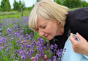 Растение для ленивых: про выращивание лаванды рассказала опытный садовод