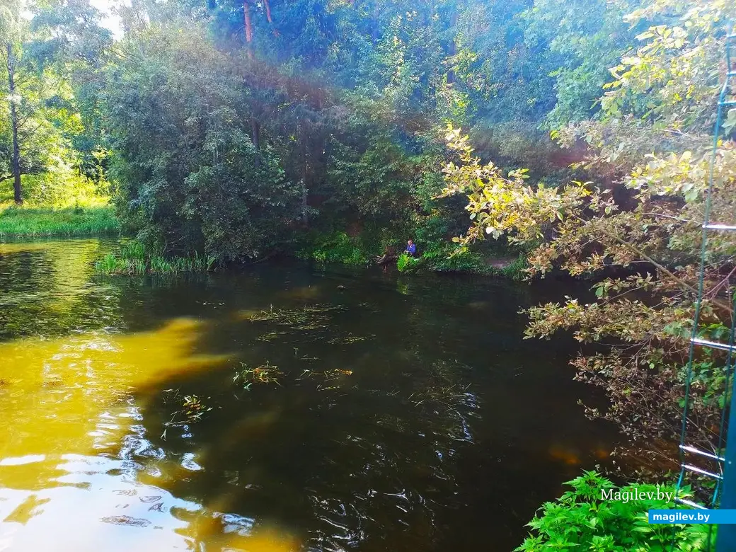 16.07.2024, Могилев, Печерское озеро, пляж «Boardhouse».