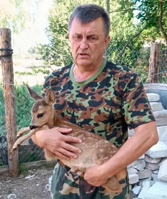 Как помочь животному, терпящему бедствие? Рассказали в Минприроды Беларуси. Фото ТК-Могилевприрода.