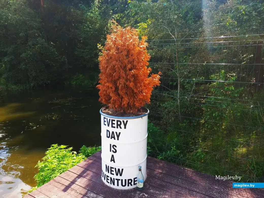 16.07.2024, Могилев, Печерское озеро, пляж «Boardhouse».