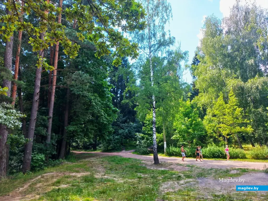 16.07.2024, Могилев, Печерское озеро, пляж «Boardhouse».