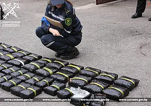 ГТК раскрыл подробности изъятия крупнейшей в истории Беларуси партии наркотиков