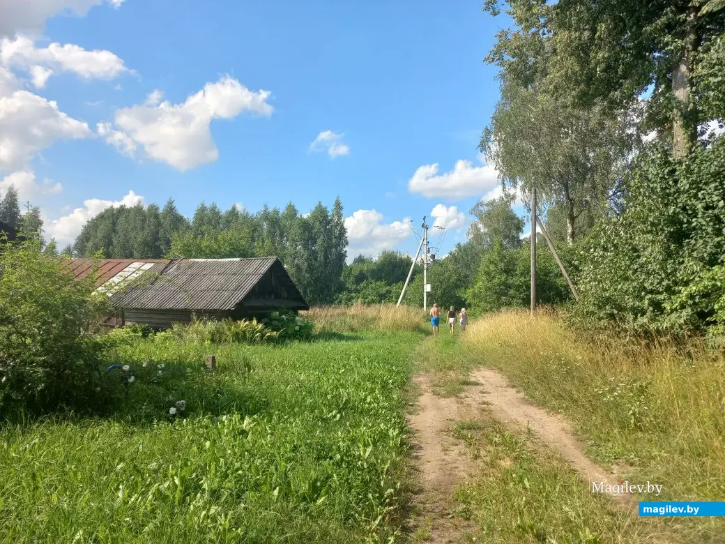 17.07.2024 г. Могилевский район, Речки, ул. Горная.