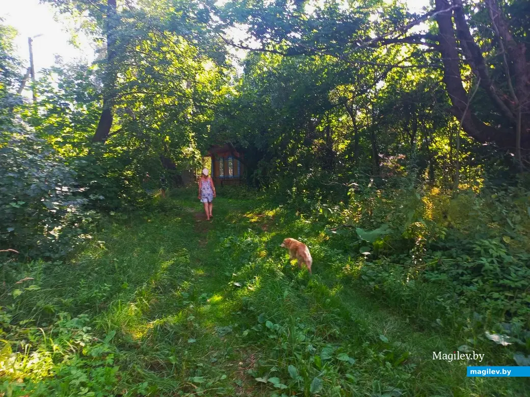 17.07.2024 г. Могилевский район, Речки, ул. Горная.