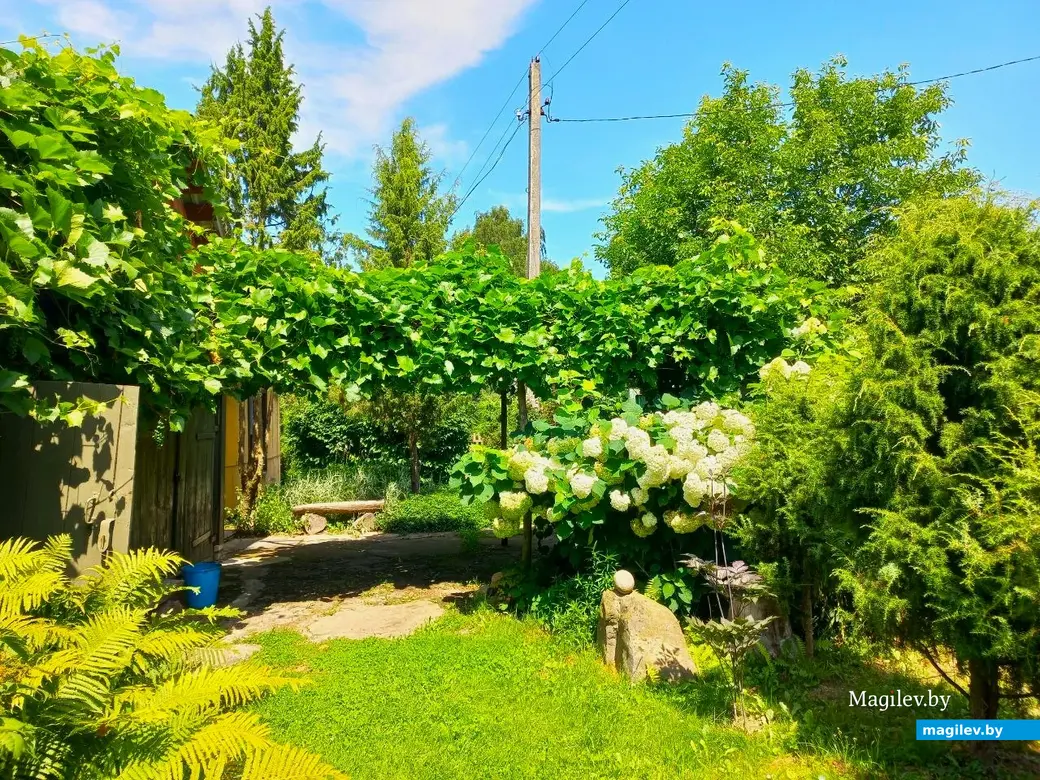 17.07.2024 г. Могилевский район, Речки, ул. Горная.