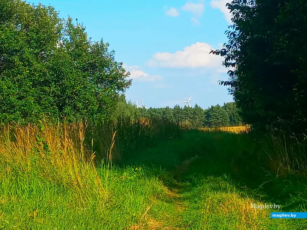 17.07.2024 г. Могилевский район, Речки, ул. Горная.