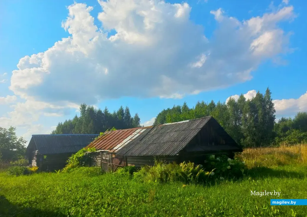 17.07.2024 г. Могилевский район, Речки, ул. Горная.