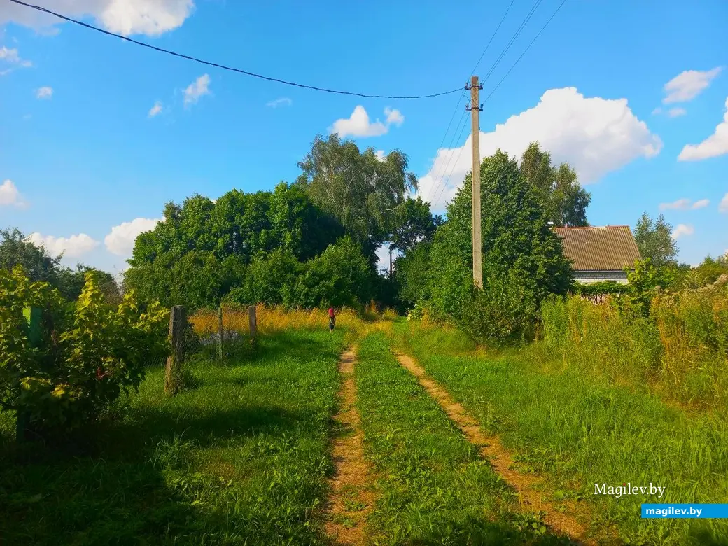 17.07.2024 г. Могилевский район, Речки, ул. Горная.