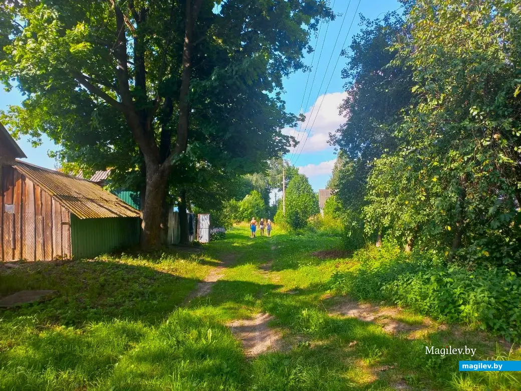 17.07.2024 г. Могилевский район, Речки, ул. Горная.