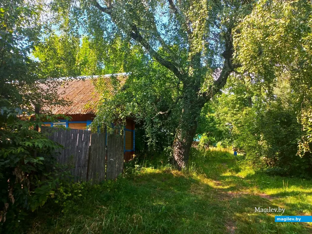 17.07.2024 г. Могилевский район, Речки, ул. Горная.