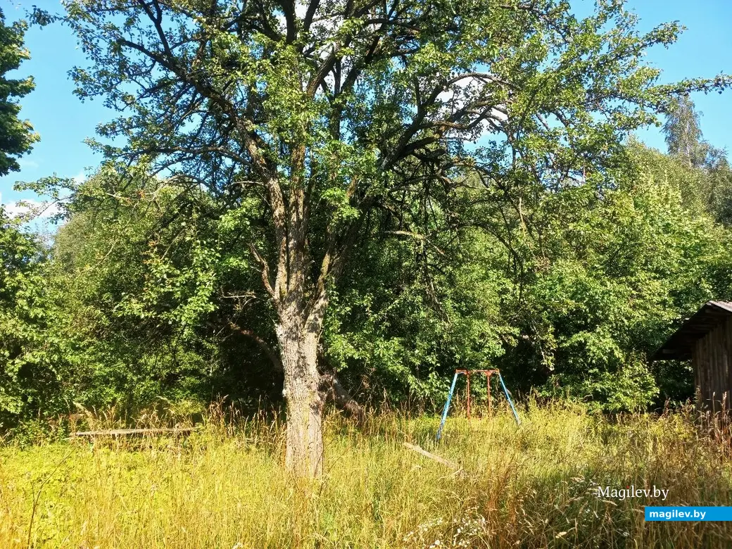 17.07.2024 г. Могилевский район, Речки, ул. Горная.