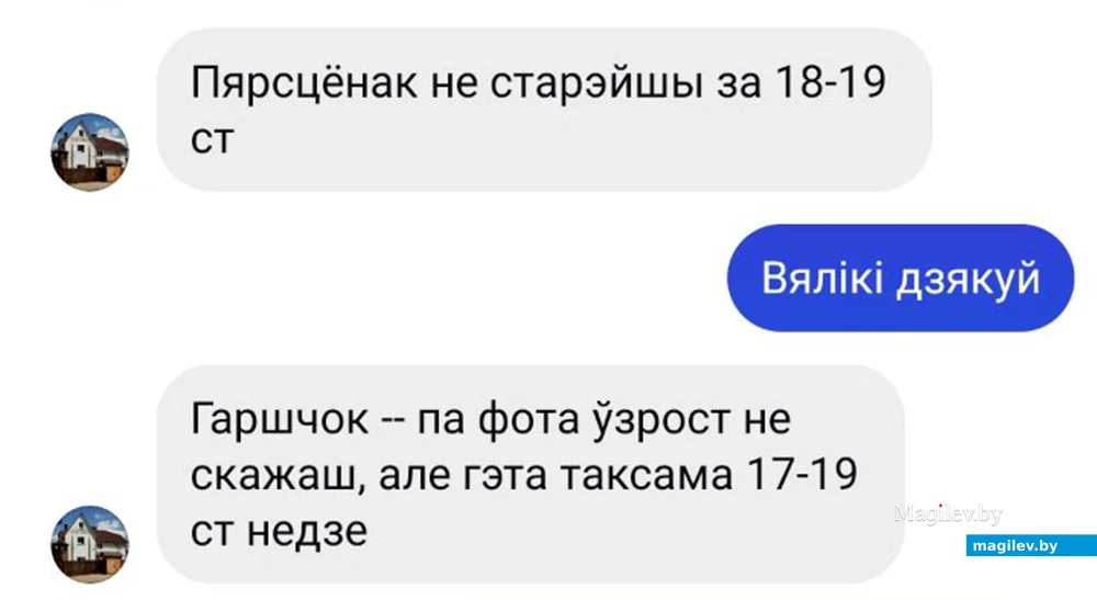 7 июля 2024 года. Скриншот из переписки Марины с минскими археологами.