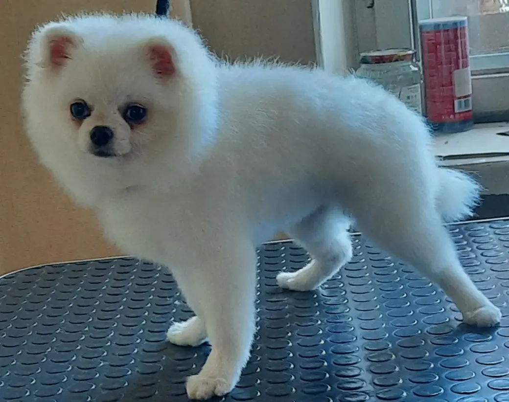 Бобруйск. Клиенты Ирины Белых. Фото героини материала.