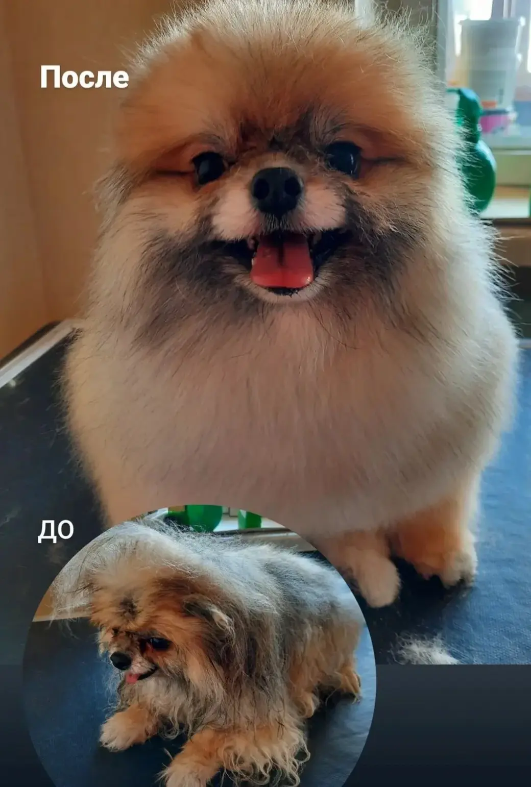 Бобруйск. Клиенты Ирины Белых. Фото героини материала.