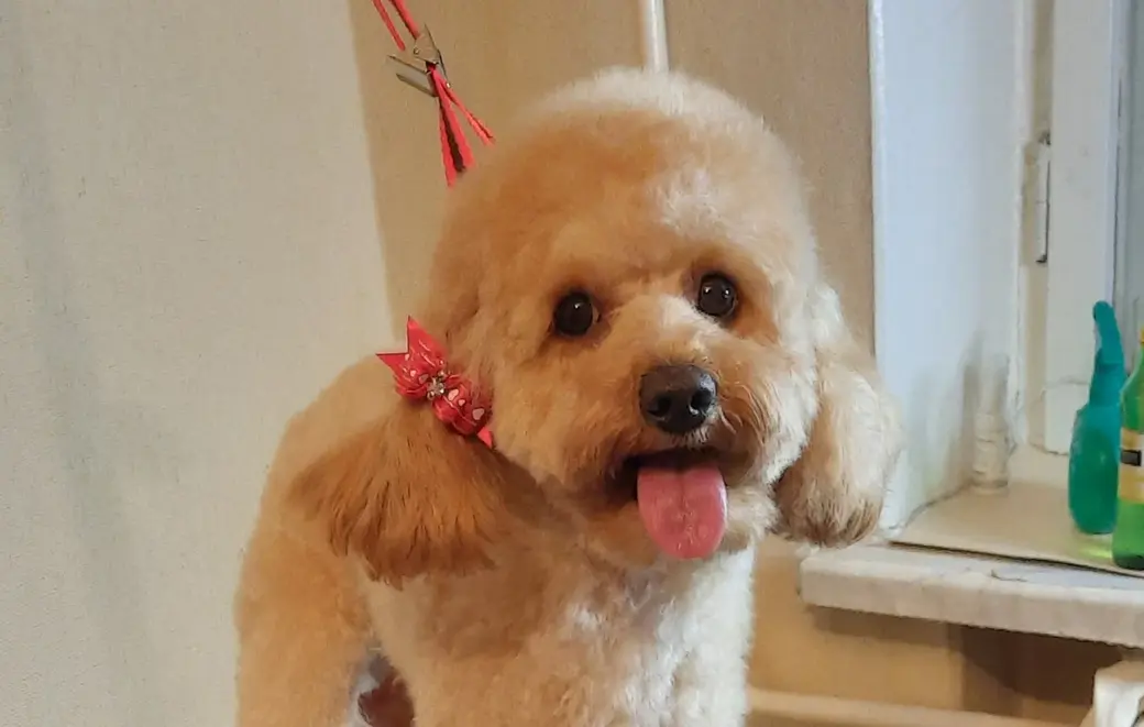 Бобруйск. Клиенты Ирины Белых. Фото героини материала.