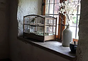 Какие вещи нельзя хранить на подоконнике: ни к чему хорошему это не приведет