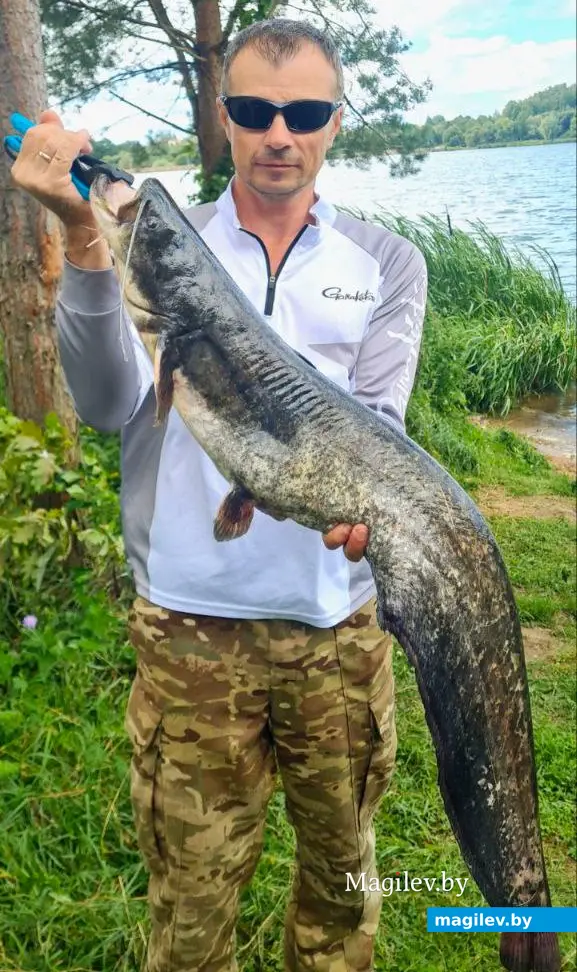 20 июля 2024 года. Тетеринское водохранилище. Круглянский район. Андрей с сомом.