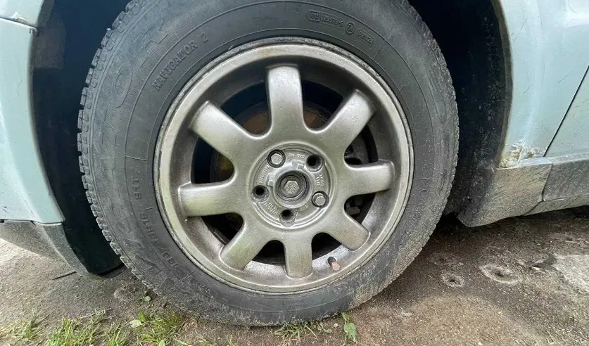 Фото: УГКСЭ по Могилевской области