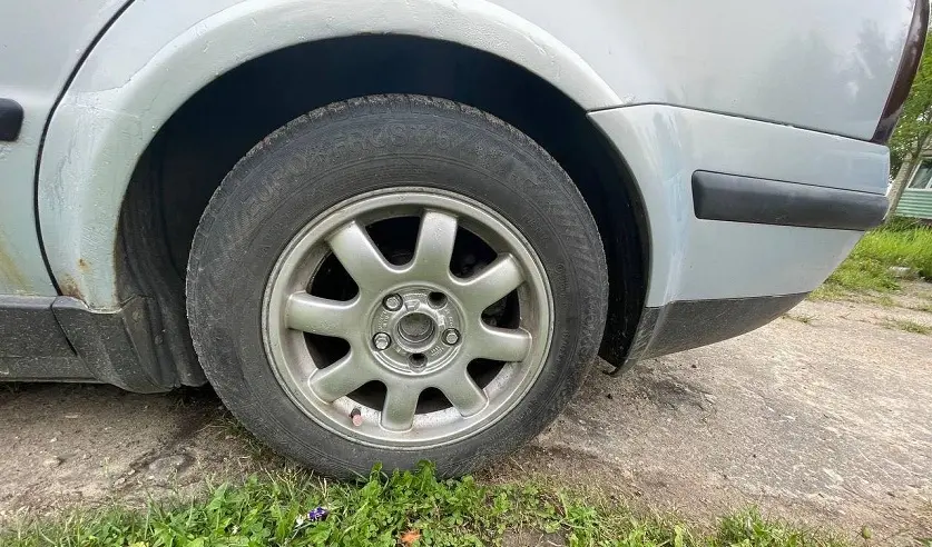 Фото: УГКСЭ по Могилевской области