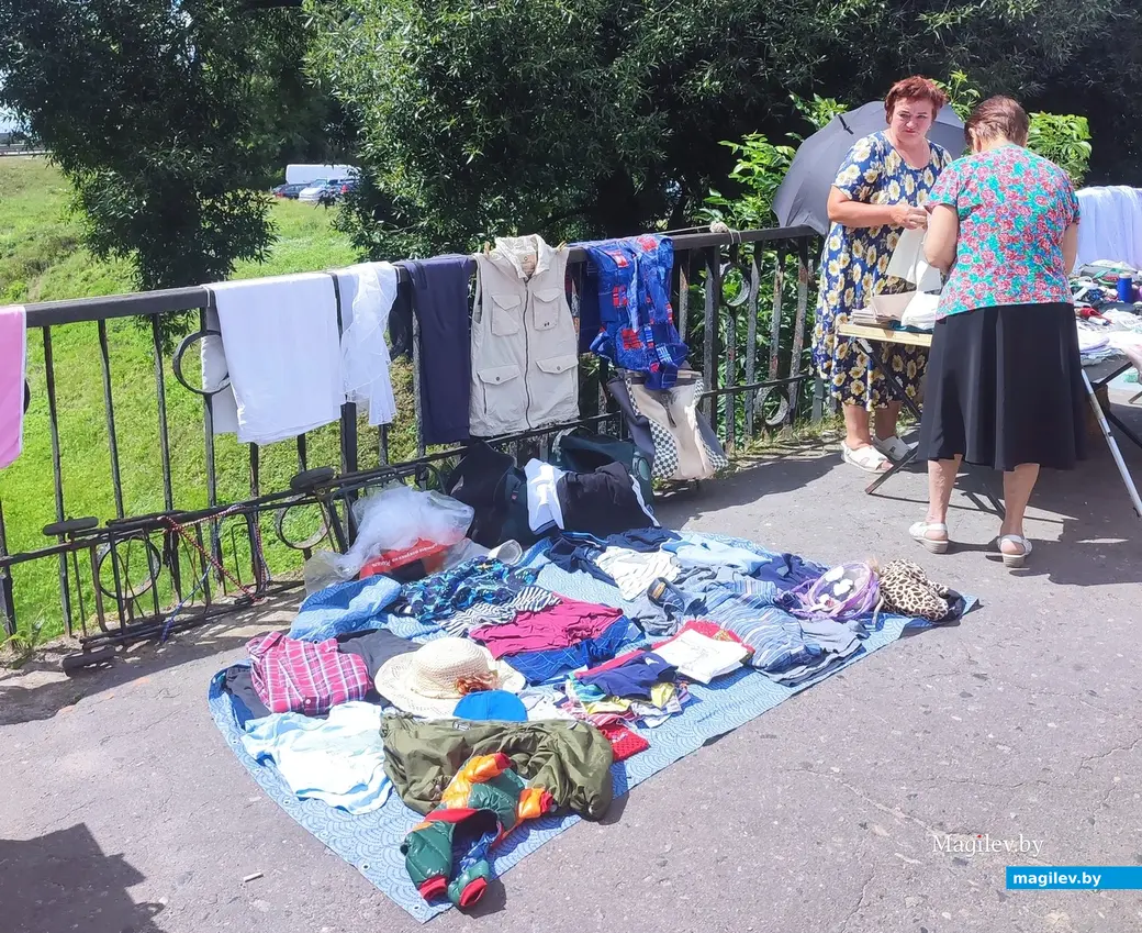 От пуговицы до антиквариата. Что и почем можно найти на барахолке у Быховского рынка, июль 2024 г.