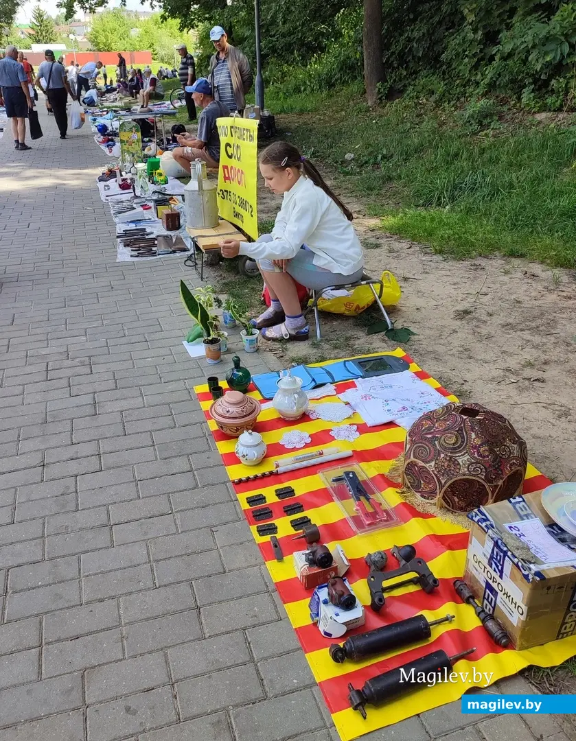 От пуговицы до антиквариата. Что и почем можно найти на барахолке у Быховского рынка, июль 2024 г.