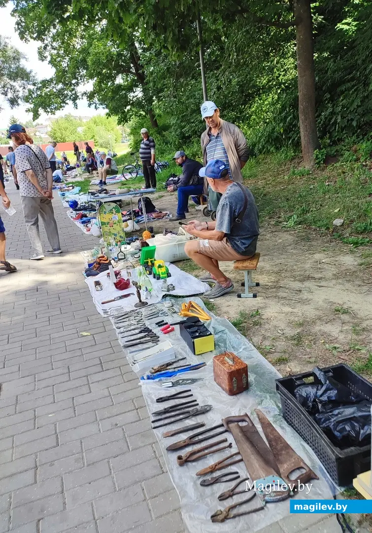 От пуговицы до антиквариата. Что и почем можно найти на барахолке у Быховского рынка, июль 2024 г.
