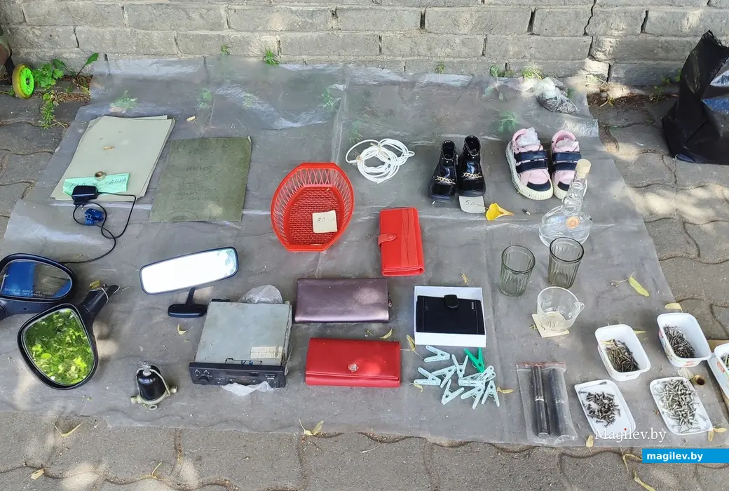 От пуговицы до антиквариата. Что и почем можно найти на барахолке у Быховского рынка, июль 2024 г.