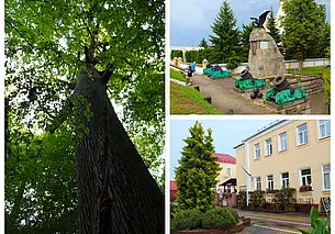 Путешествие одного дня: в Кобрин с заездом к Царь-дубу – самому старому в Беларуси