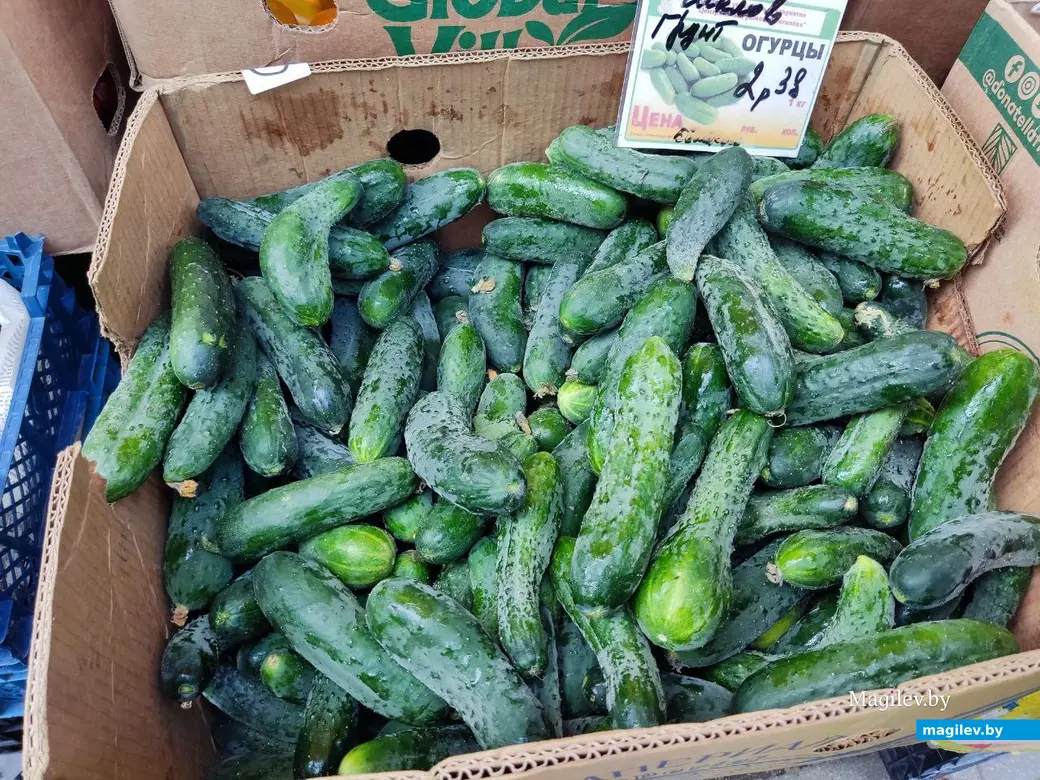 26.07.2024 г. Могилев. Центральный (Минский) рынок