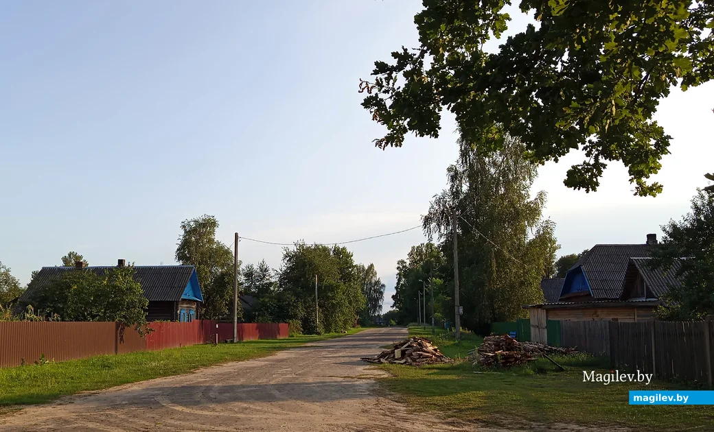 Июль 2024 года. Деревня Заполье.