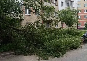 Минтруда: пострадавшие от непогоды могут воспользоваться услугой временного приюта