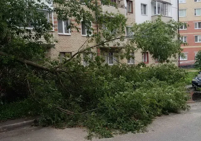 Минтруда: пострадавшие от непогоды могут воспользоваться услугой временного приюта