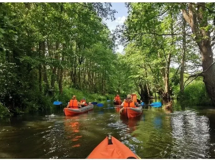 Июль, 2024 г. Беларусь. Сплав, организованный Романом Черноголовом.