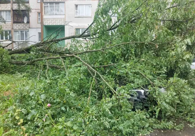 КГК принимает жалобы, связанные с ликвидацией последствий урагана