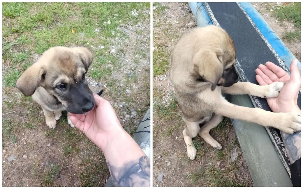 Трогательная малышка