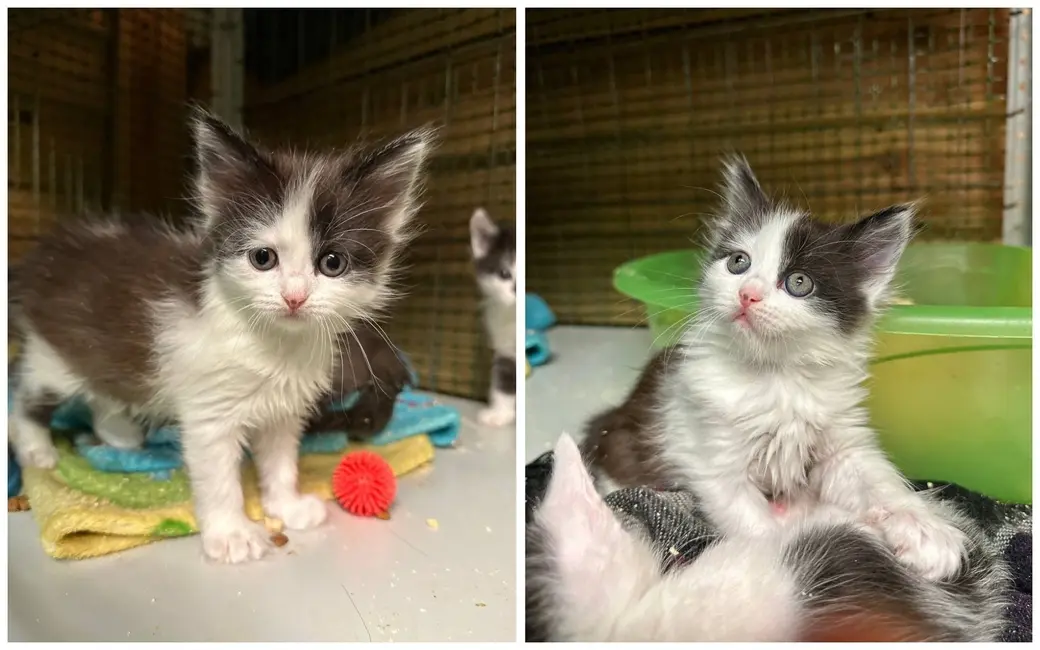 Очаровашка Юлька