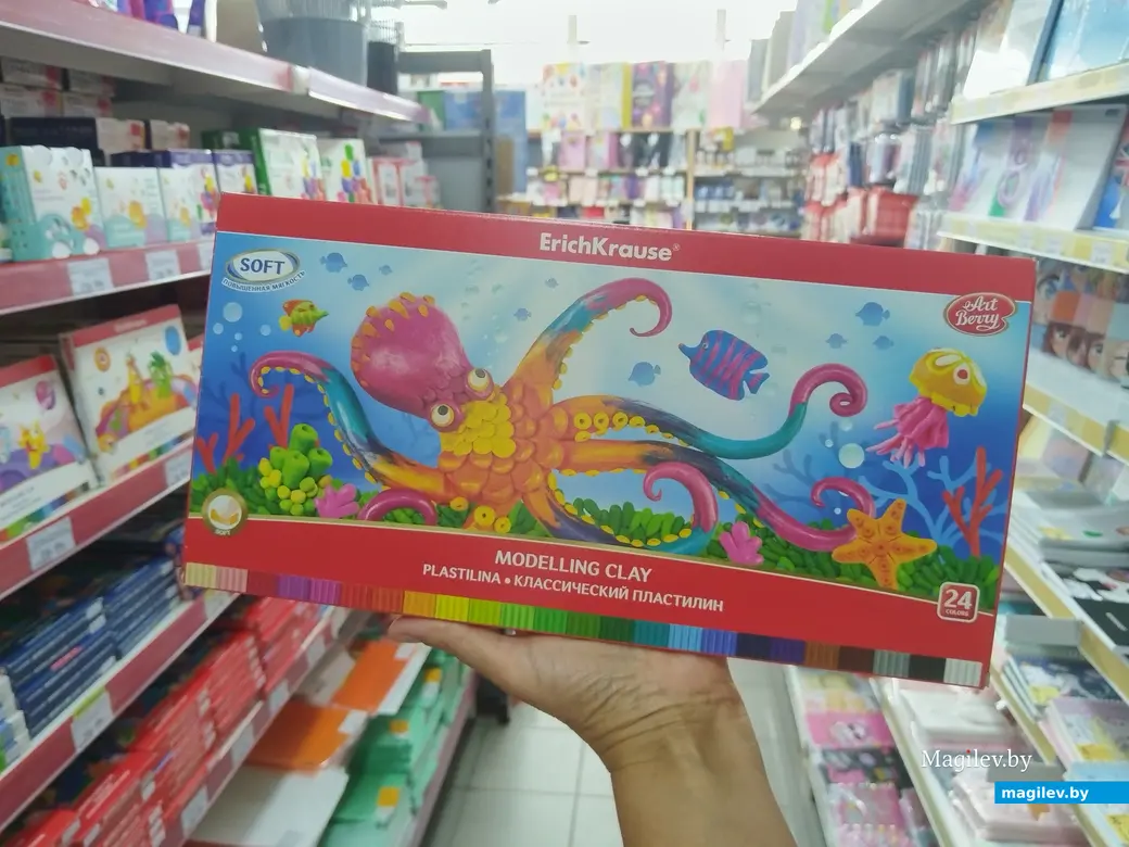 02.08.2024 г. Могилев. Магазин канцелярских товаров «М4». Собираем ребенка к школе.