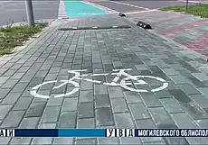 На велодорожках в Могилеве появились «лежачие полицейские»