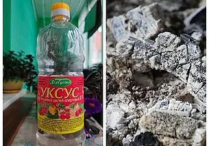 Зачем гасить золу уксусом? Рассказываем