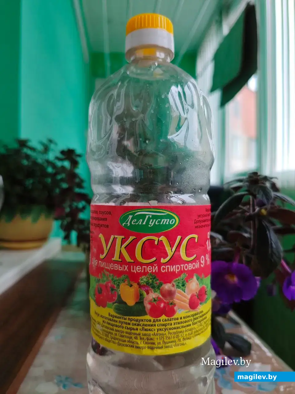 Уксус. Фото автора.