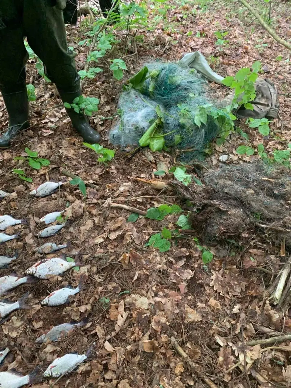 Фото: nostibyhova