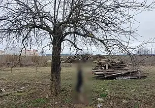 Жителю Гродно, который повесил собаку, предъявлено обвинение