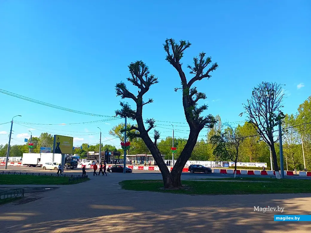 Май 2025 года, Могилев, Мир-1.