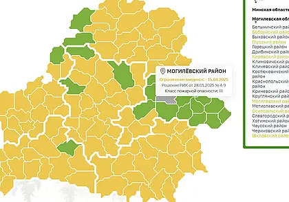 Ограничение на посещение леса введены в шести районах Могилевской области